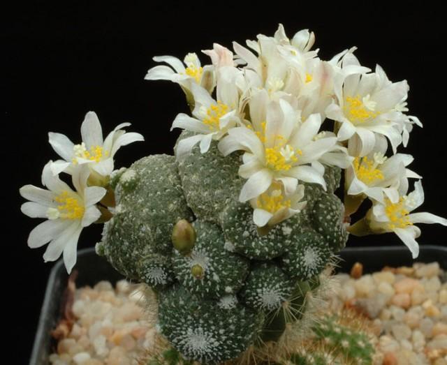 ������������